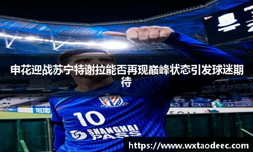 申花迎战苏宁特谢拉能否再现巅峰状态引发球迷期待