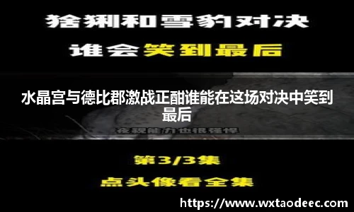 水晶宫与德比郡激战正酣谁能在这场对决中笑到最后